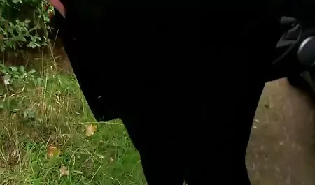 Dögös Milf baszik ingyen romantikus szex filmek a fia barátja.