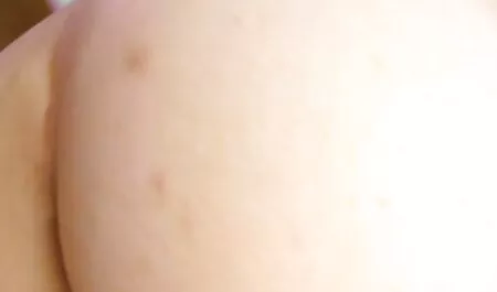 Perzsia szar egy nagy fekete kakas. erotikus videok