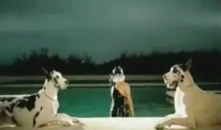 Fekete, Vörös, Nagy, Forró, pumpált Fekete extrem szex video Sperma.