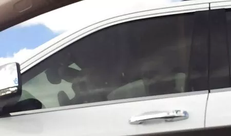 Vacsora, duci szex ingyen krimpay az ázsiai